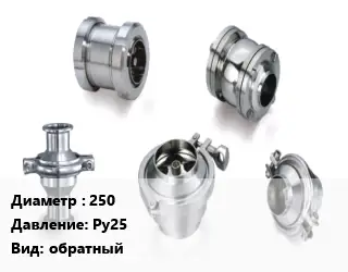Клапан нержавеющий 250 Ру25 обратный